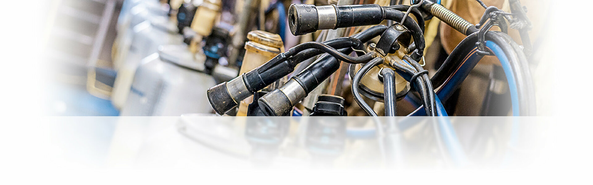 Melkmaschine Landwirtschaft 