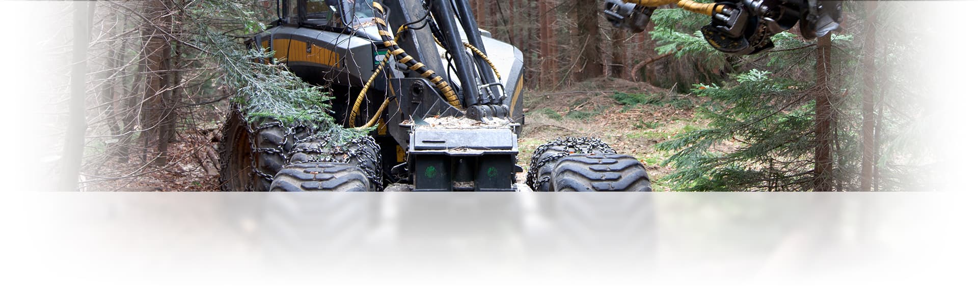 Eine Forstmaschine beim abholzen im Wald.